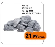 Grys ICE