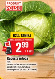 Kapusta młoda Polski