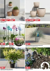Zanurz się w letnich okazjach - Merkury Market