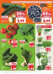 Літні пропозиції, сповнені смаку — Kaufland
