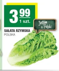 Sałata rzymska Polski