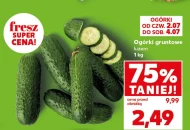 Огірки