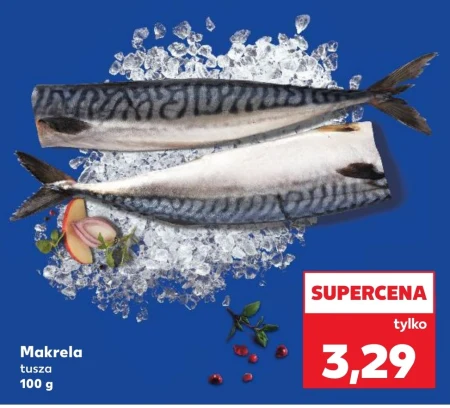 Скумбрія