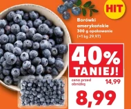 Чорниця Hit