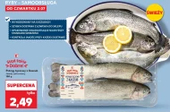 Pstrąg tęczowy K-Stąd Takie Dobre