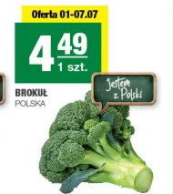 Brokuł Polski