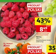 Малина Polski