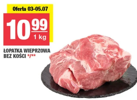 Безкісткова лопатка