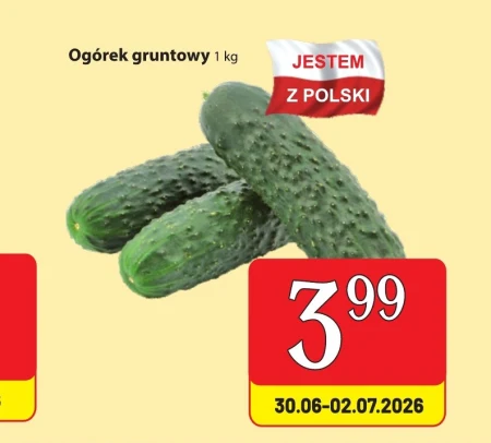 Огірок Polski