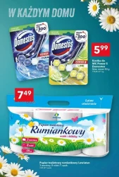 Letnie okazje na każdy dzień – Lewiatan