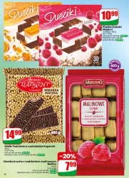 Letnie okazje każdego dnia – Dino