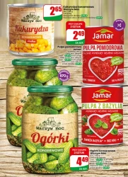 Letnie okazje każdego dnia – Dino