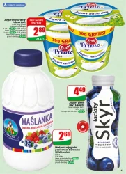 Letnie okazje każdego dnia – Dino