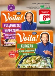 Letnie okazje każdego dnia – Dino