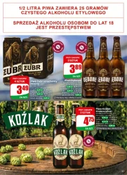 Letnie okazje każdego dnia – Dino