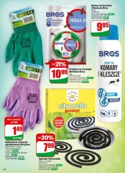 Letnie okazje każdego dnia – Dino