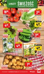Superhity od środy - POLOmarket