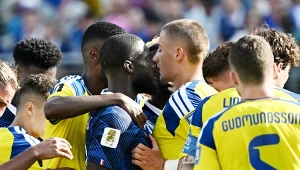 Podczas meczu Francja - Szwecja iskrzyło nie tylko za oceanem. Nerwy puściły skandynawskim sympatykom futbolu