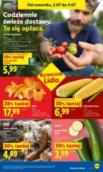 Najlepszy wybór na zakupy - Lidl