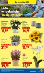 Najlepszy wybór na zakupy - Lidl
