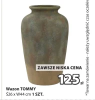 Wazon