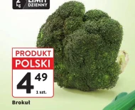 Brokuł Polski