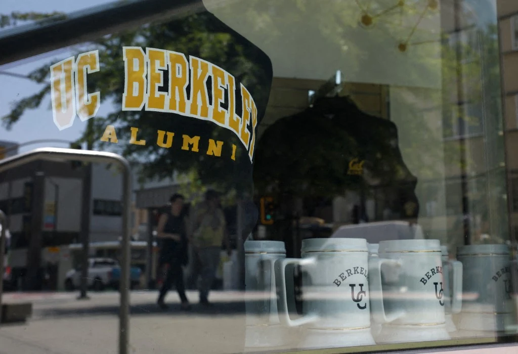 Kubki z logo UC Berkeley ustawione na wystawie sklepowej, w tle widoczna czarna bluza z napisem UC Berkeley Alumni.