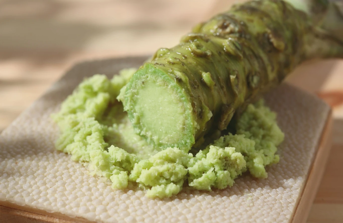 Wasabi ma działanie przeciwzapalnie i przeciwdrobnoustrojowe Świeży korzeń wasabi na tarce, obok porcja startego wasabi.