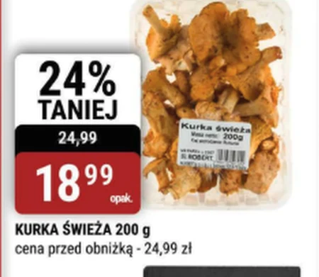 Курка E