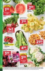Letnie promocje na co dzień – Stokrotka Market