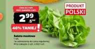 Sałata masłowa Polski