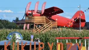 Labirynt w polu kukurydzy w Swarzewie ma wiele ciekawych atrakcji ukrytych na ścieżkach
