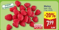 Малина Polski