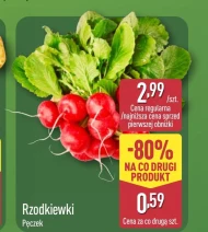 Rzodkiewki
