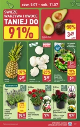 Hity w dobrych cenach – ALDI