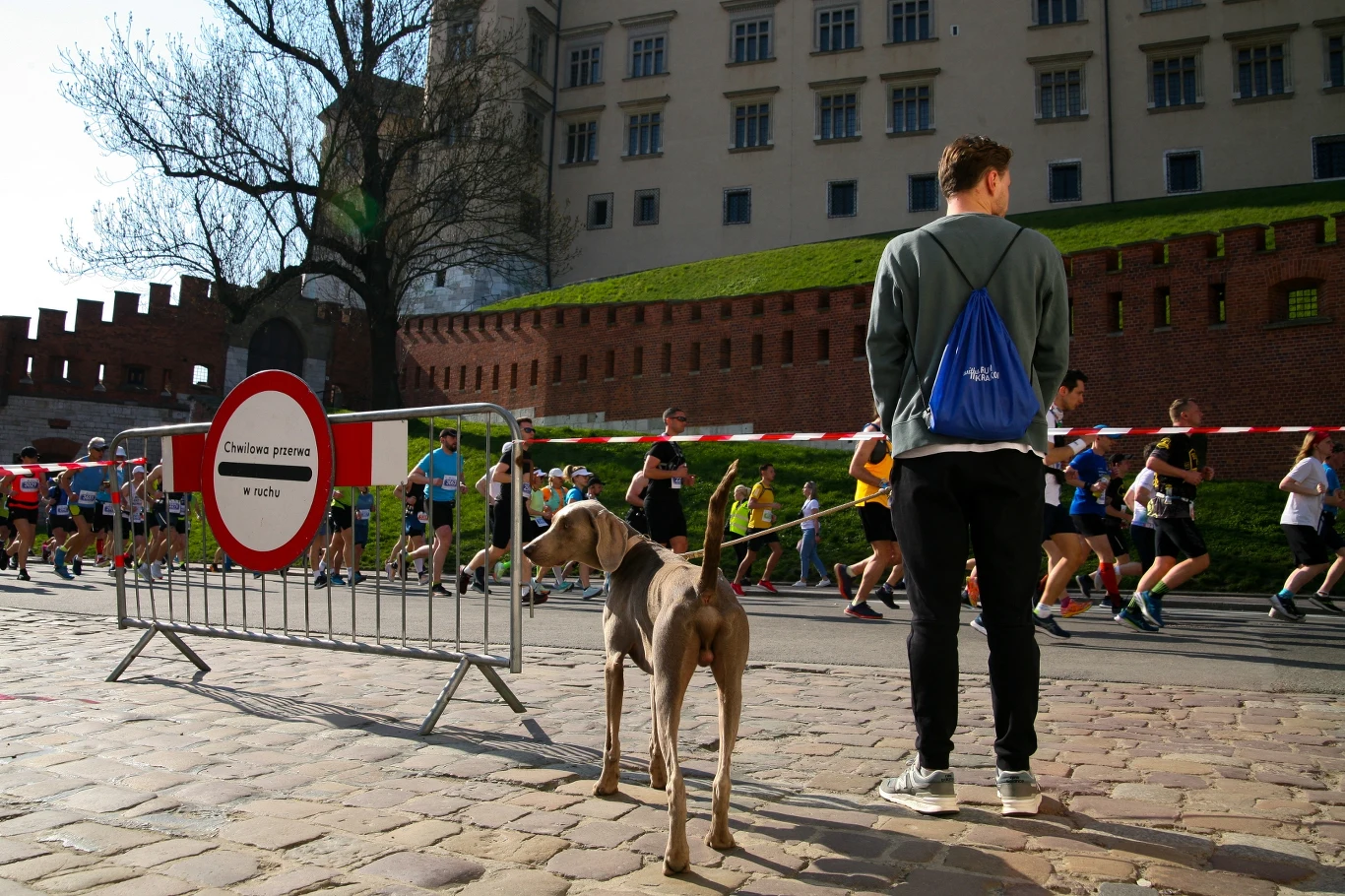 Grupa biegaczy uczestniczy w miejskim maratonie w pobliżu historycznych murów zamku, z przodu mężczyzna ze sportowym plecakiem stoi z psem przy barierce zabezpieczającej trasę biegu.