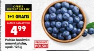 Borówka amerykańska Polski