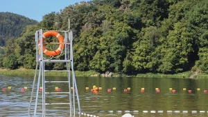 Piaszczysta plaża nieco ponad godzinę od Krakowa. Idealna na letni wypad 