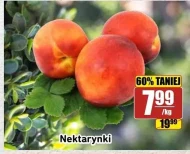 Nektarynki