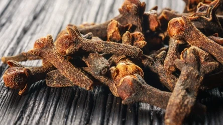 Goździki to jeden z najskuteczniejszych naturalnych sposobów na odstraszenie komarów i much