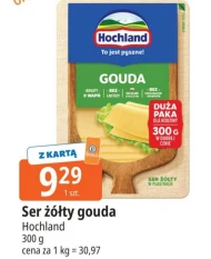 Ser Hochland