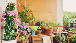 Mały balkon? Stwórz piękną i funkcjonalną przestrzeń