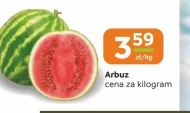 Кавун