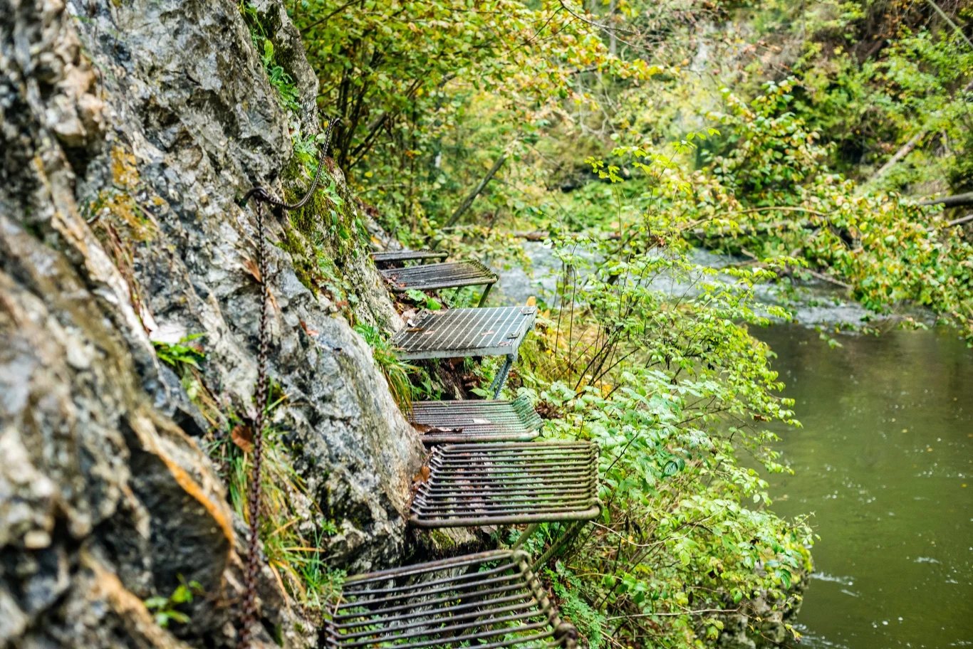 Wąska metalowa kładka osadzona w skalnej ścianie nad rzeką, otoczona zieloną roślinnością.