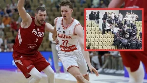 Polacy zaatakowani w Austrii. Policja ruszyła na kibiców, skandaliczne obrazki