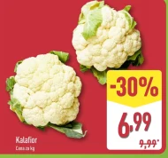 Kalafior