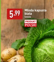 Kapusta młoda Polski