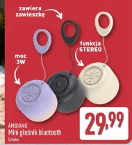 Głośnik Ambiano