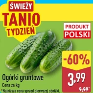 Ogórki Katarzyna Stoparczyk