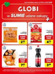 Twój koszyk pełen smaku- Globi